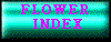 FLOWER INDEX